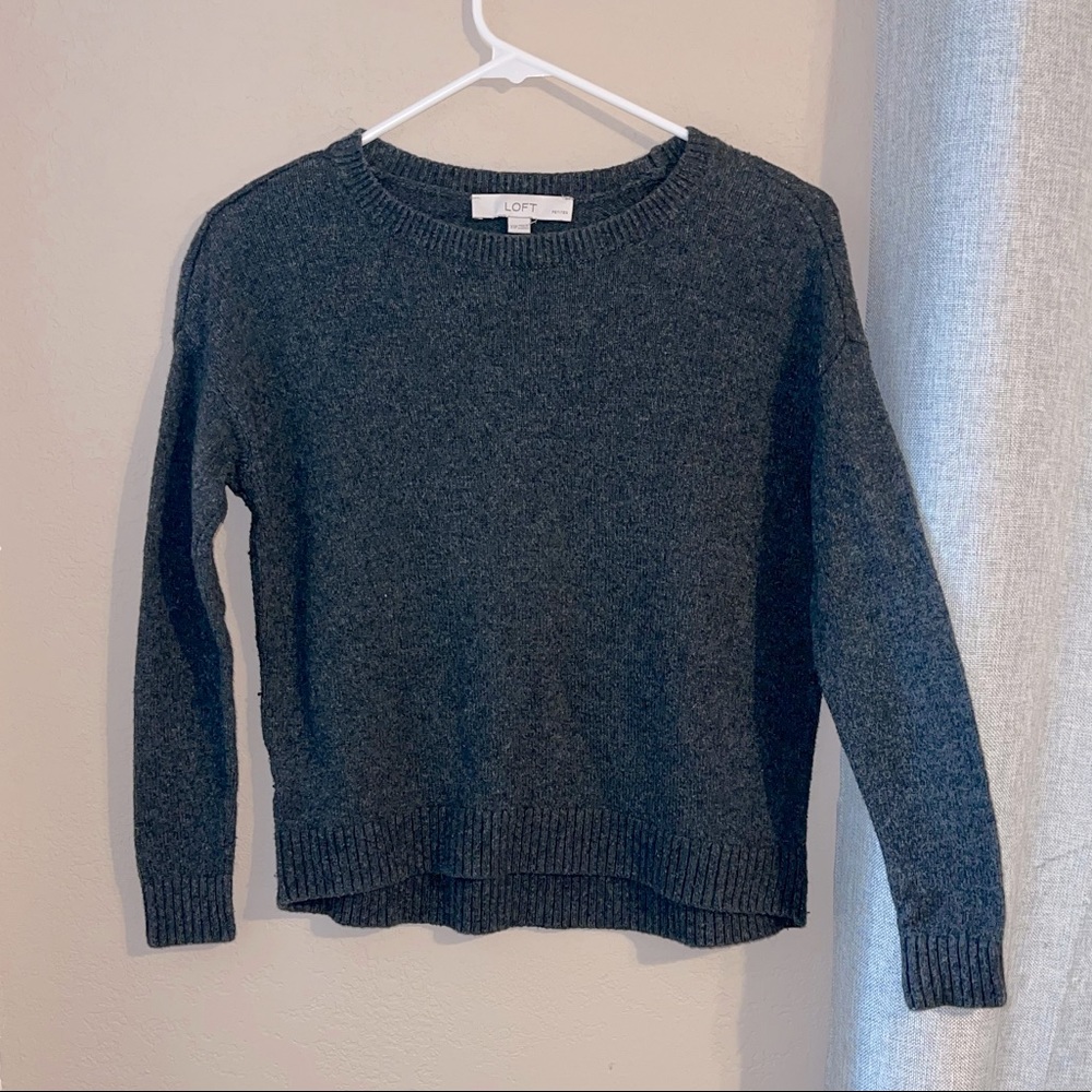 Loft xsp sweater